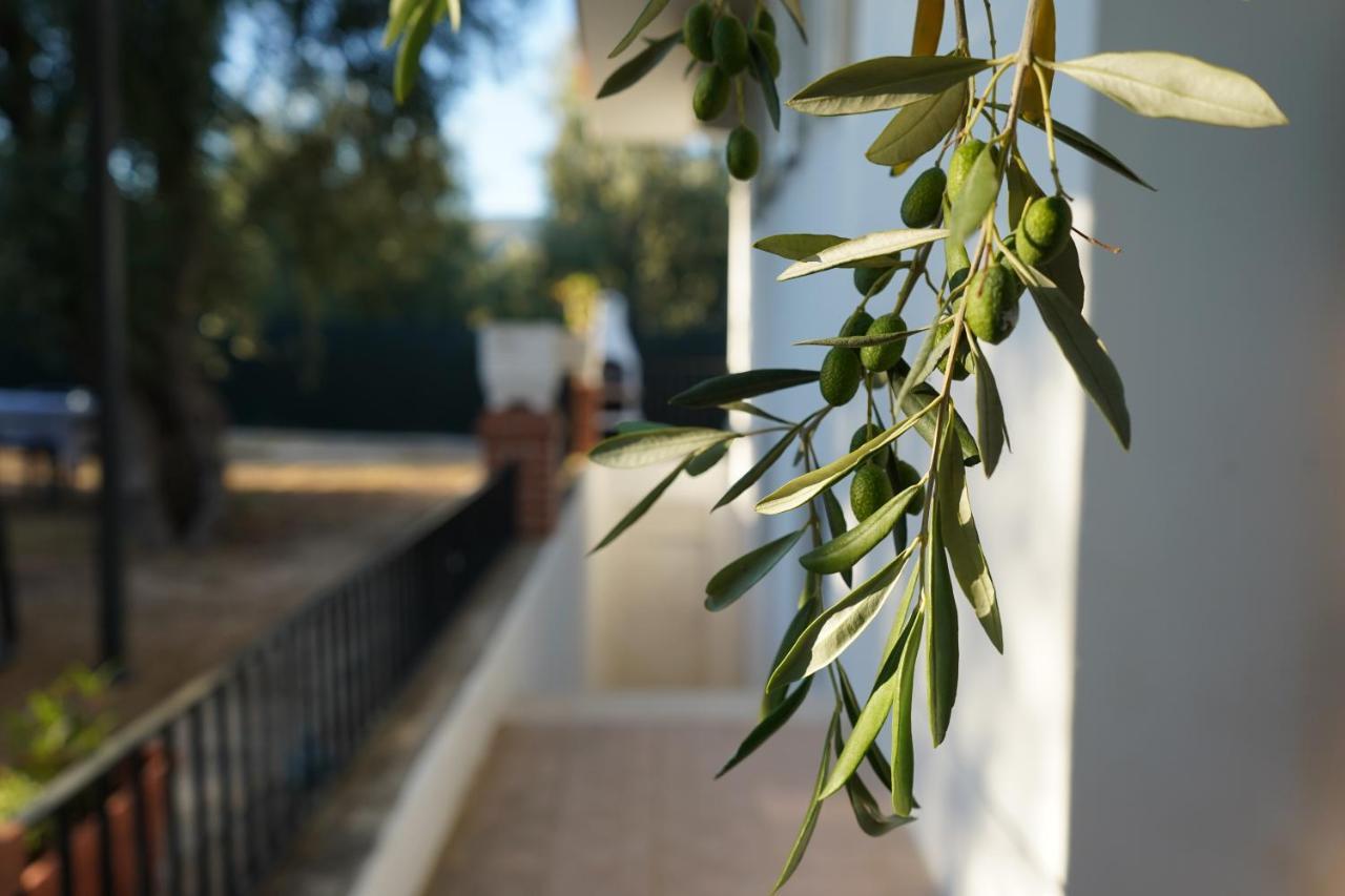 Olive&Sea Villa-Sea Mattinata Exterior foto